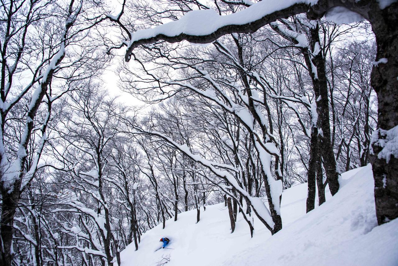 Morino Lodge - Myoko Exterior foto